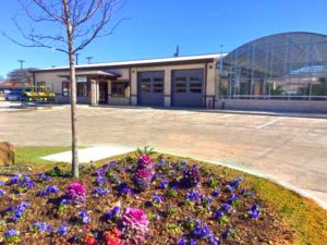 Garden Center in Mesquite and Nursery in Garland